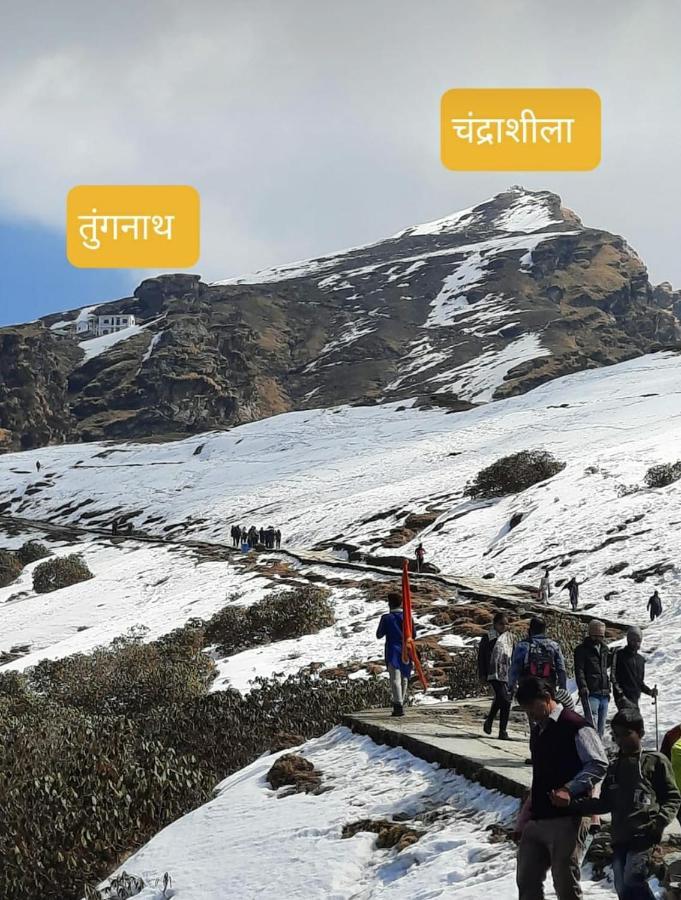 Pandava'S Cafe & Stay Chopta Exterior photo